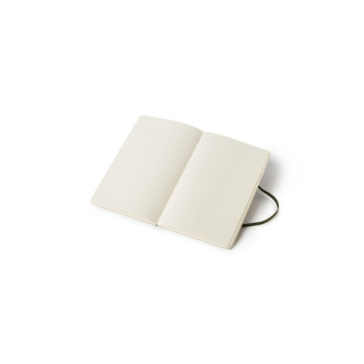 MOLESKINE Notatnik ok. A5 Time Notebook - zielony VM025-06_AAA02