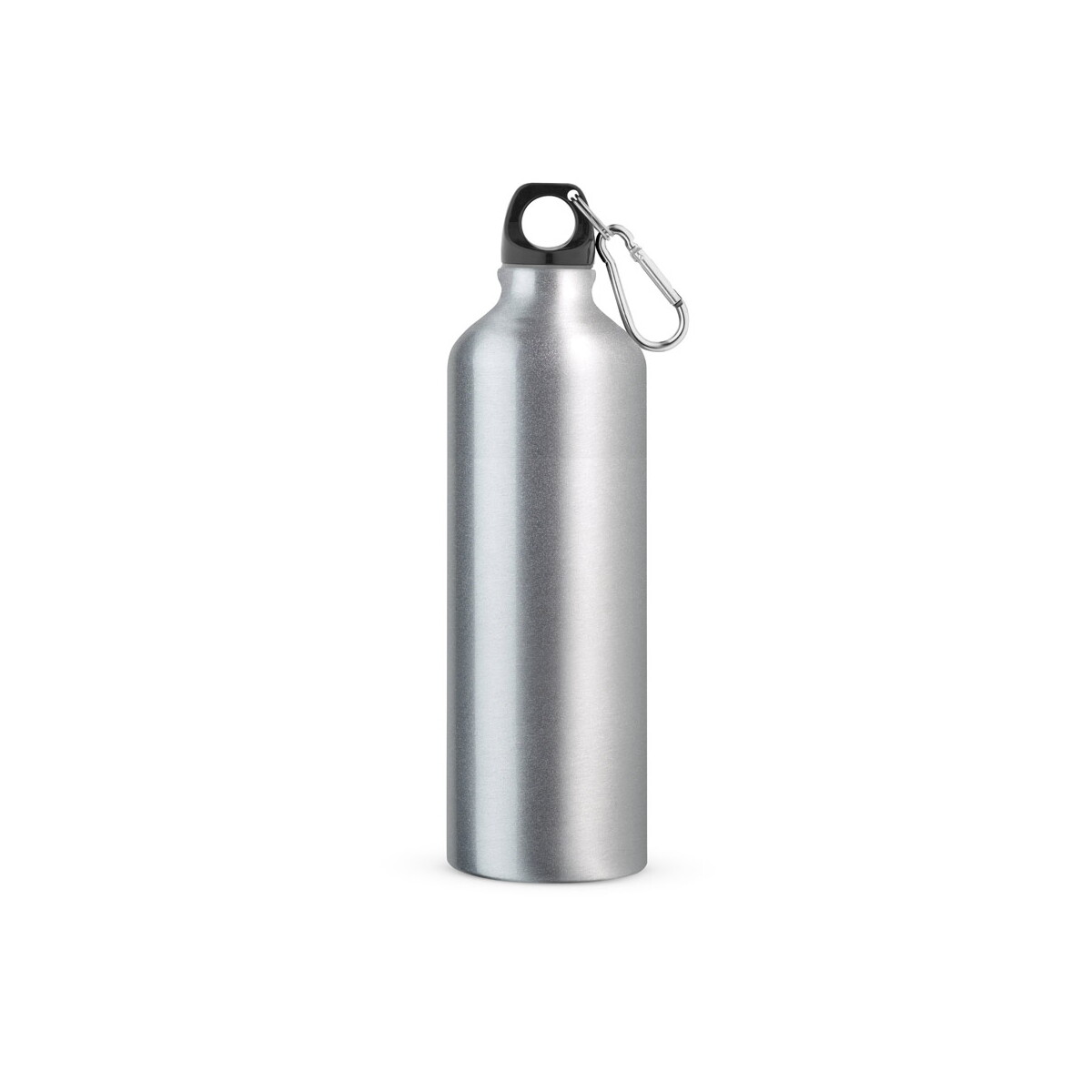 LANDSCAPE L. Aluminiowa butelka sportowa z karabińczykiem 800 ml - Satynowa srebrna 94688_127