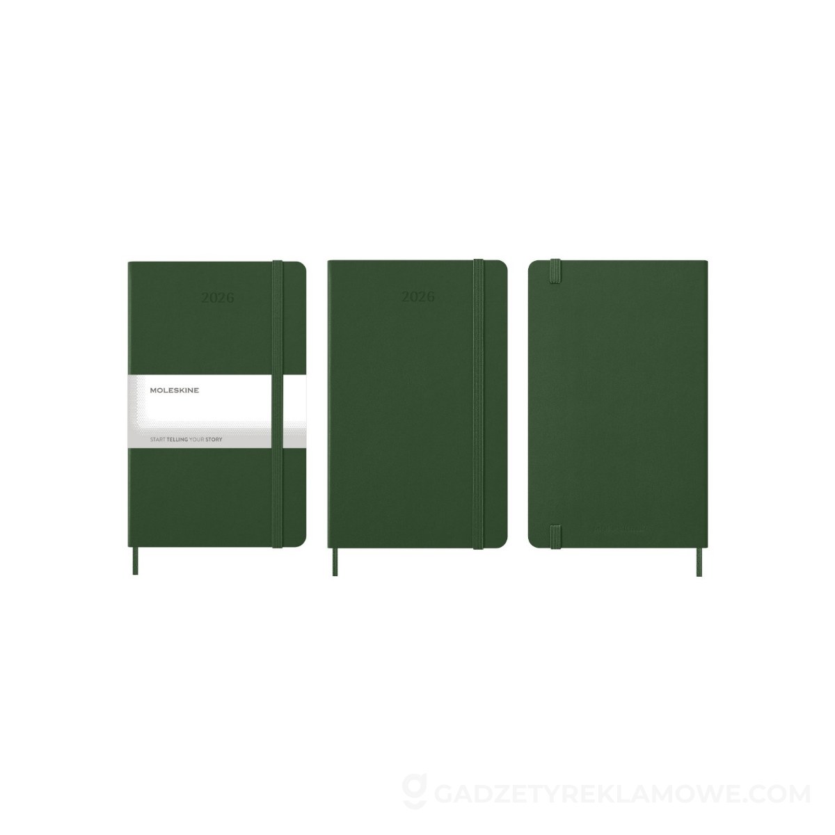 AXP-VM394-252027-wariantu-watermark Kalendarz MOLESKINE - khaki