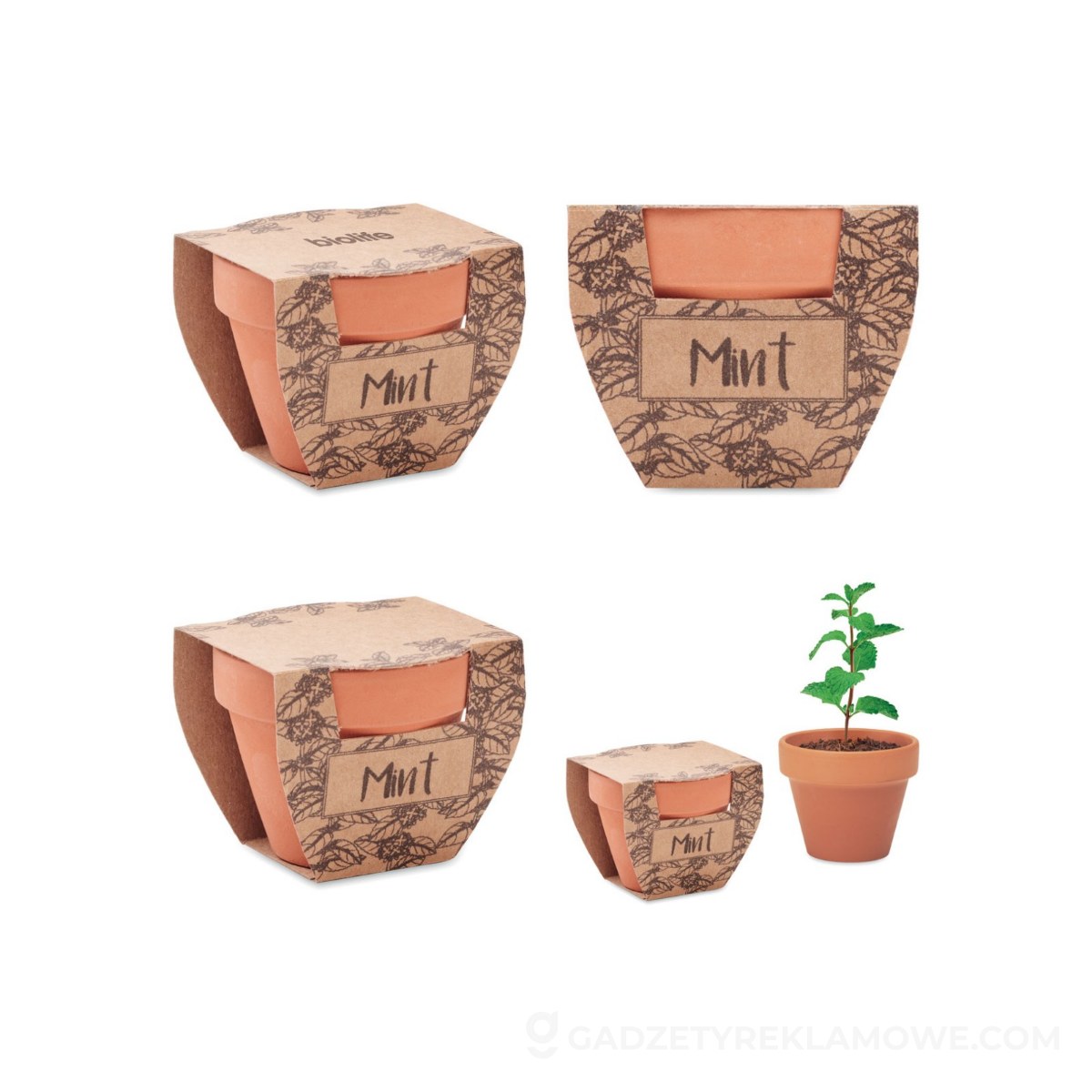 Nasiona mięty w doniczce MINT POT - drewniana