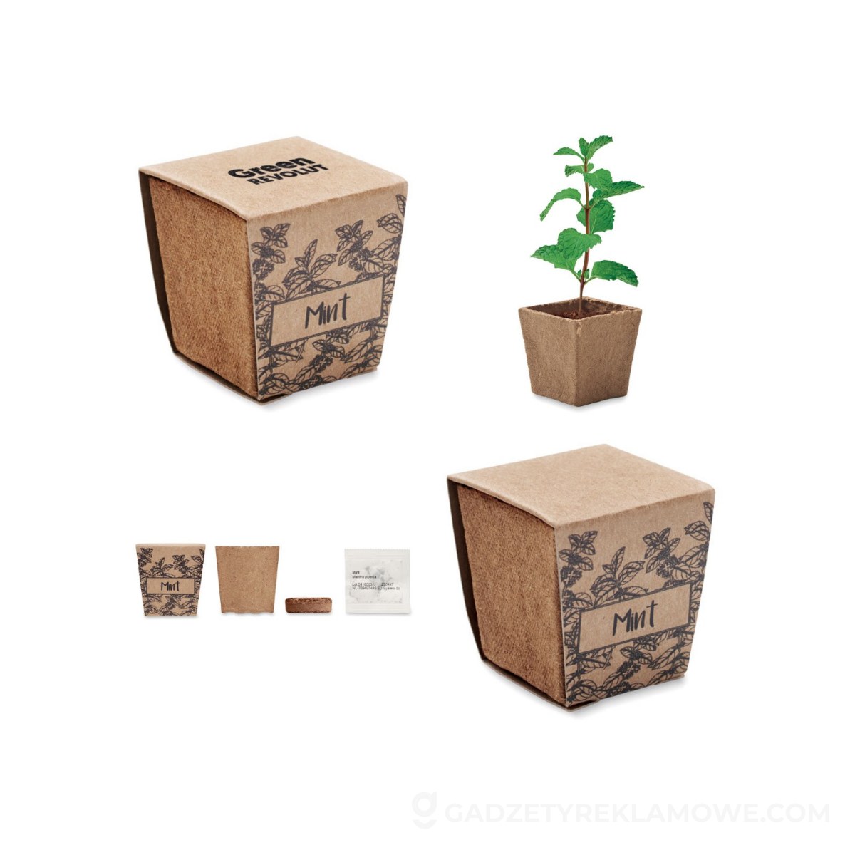 Zestaw do uprawy mięty MINT KIT - beżowy