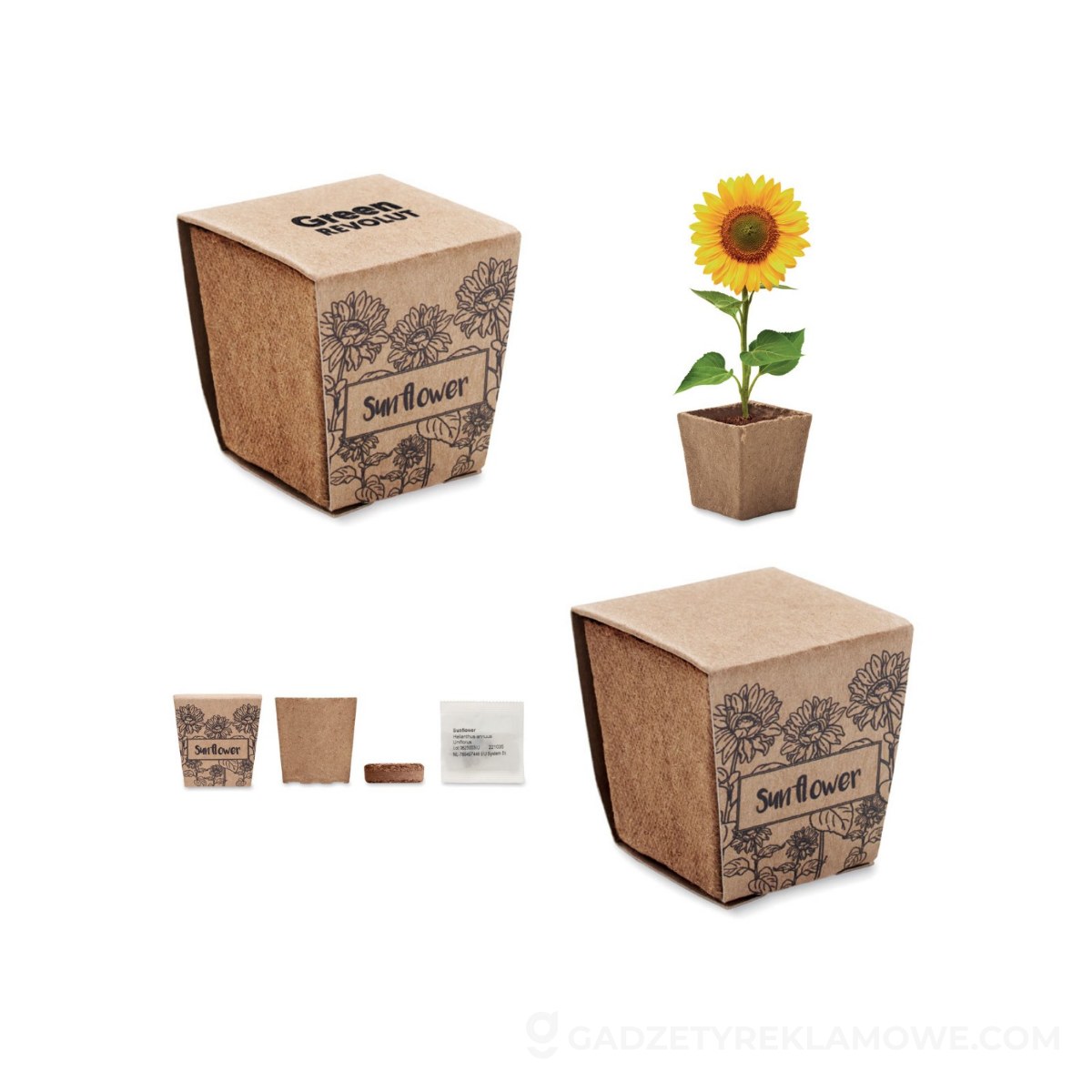 Zestaw do uprawy słonecznika SUNFLOWER KIT - beżowy