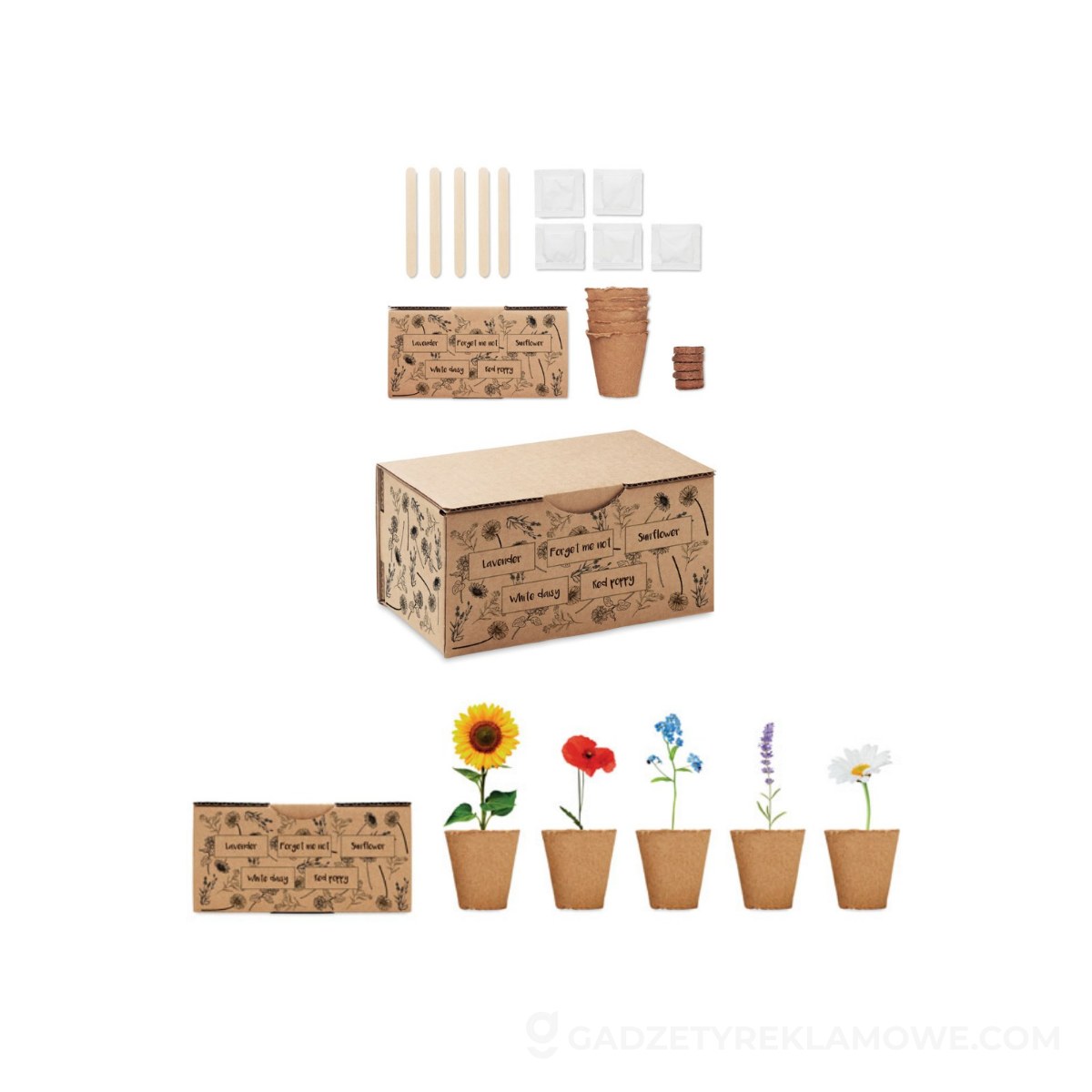 Zestaw do uprawy kwiatów FLOWERS - beżowy