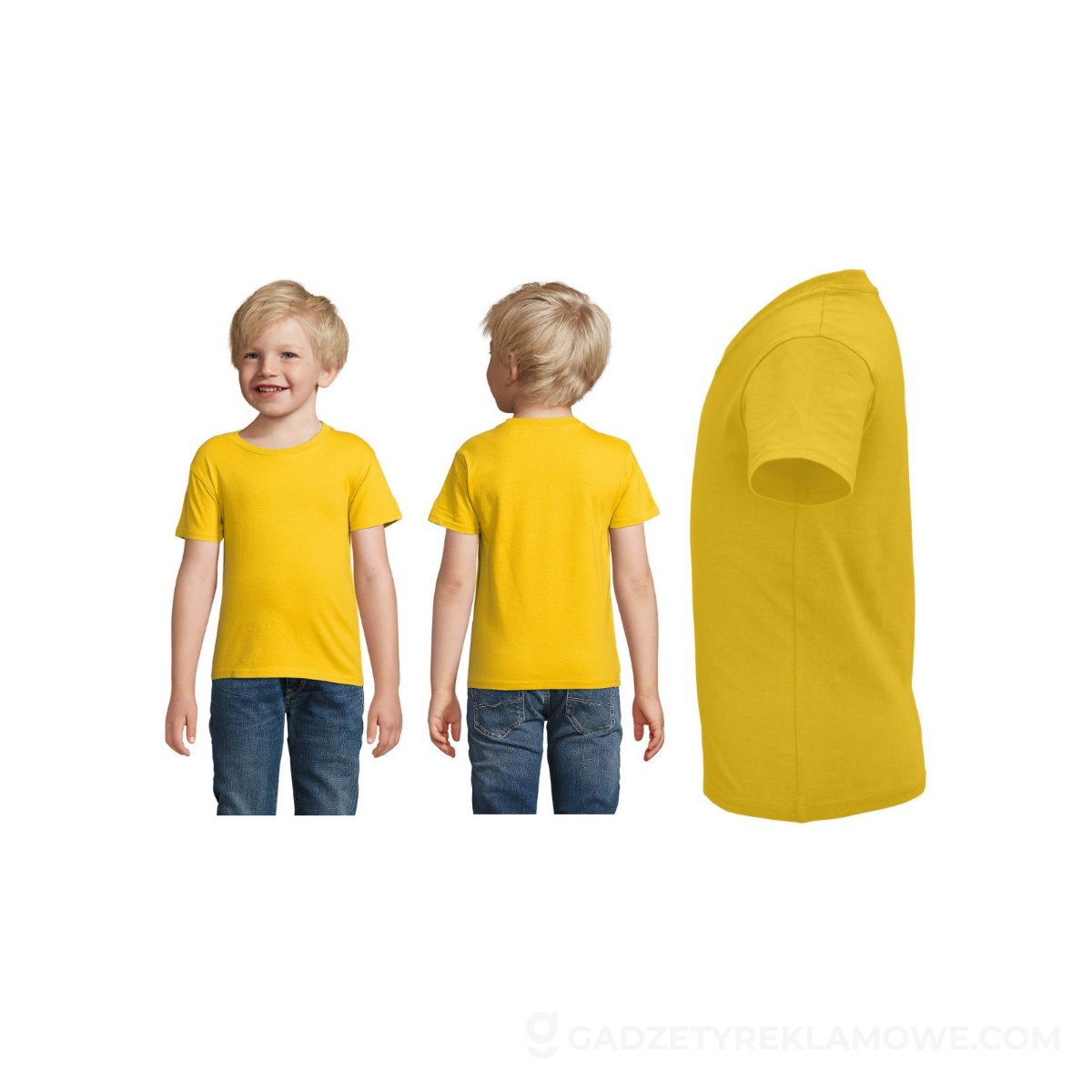 CRUSADER Dziecięcy T-SHIRT CRUSADER KIDS - Dorado - M