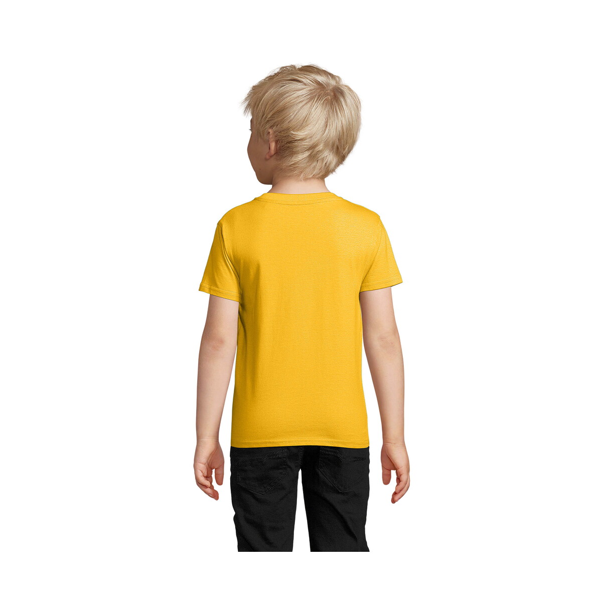Koszulki z logo – pioneer dziecięcy t-shirt pioneer kids – dorado – xxl s03578-go-back PIONEER Dziecięcy T-SHIRT PIONEER KIDS - Dorado - XXL s03578-go-back