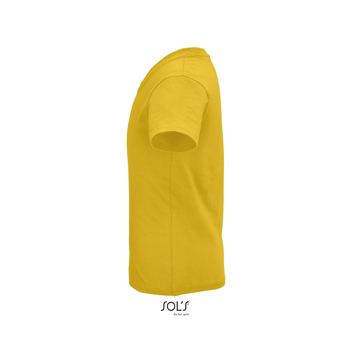 Koszulki z logo – pioneer dziecięcy t-shirt pioneer kids – dorado – xxl s03578-go-side PIONEER Dziecięcy T-SHIRT PIONEER KIDS - Dorado - XXL s03578-go-side