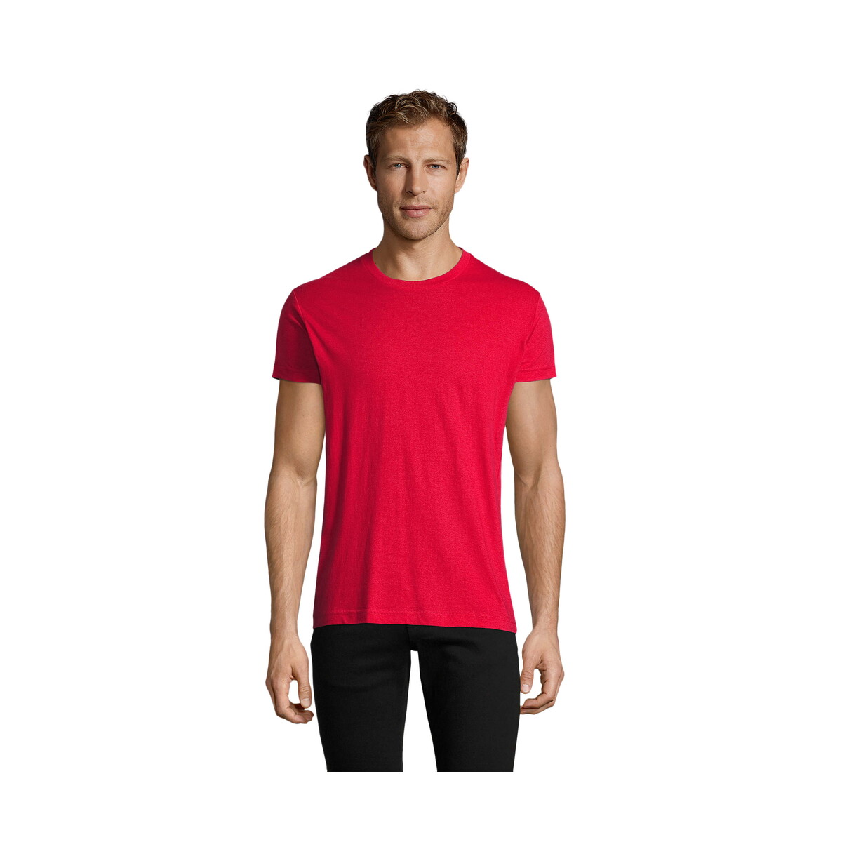 Koszulki z logo – regent fit męski 150g regent fit – czerwony – xl s00553-rd REGENT FIT MĘSKI 150g REGENT FIT - Czerwony - XL s00553-rd